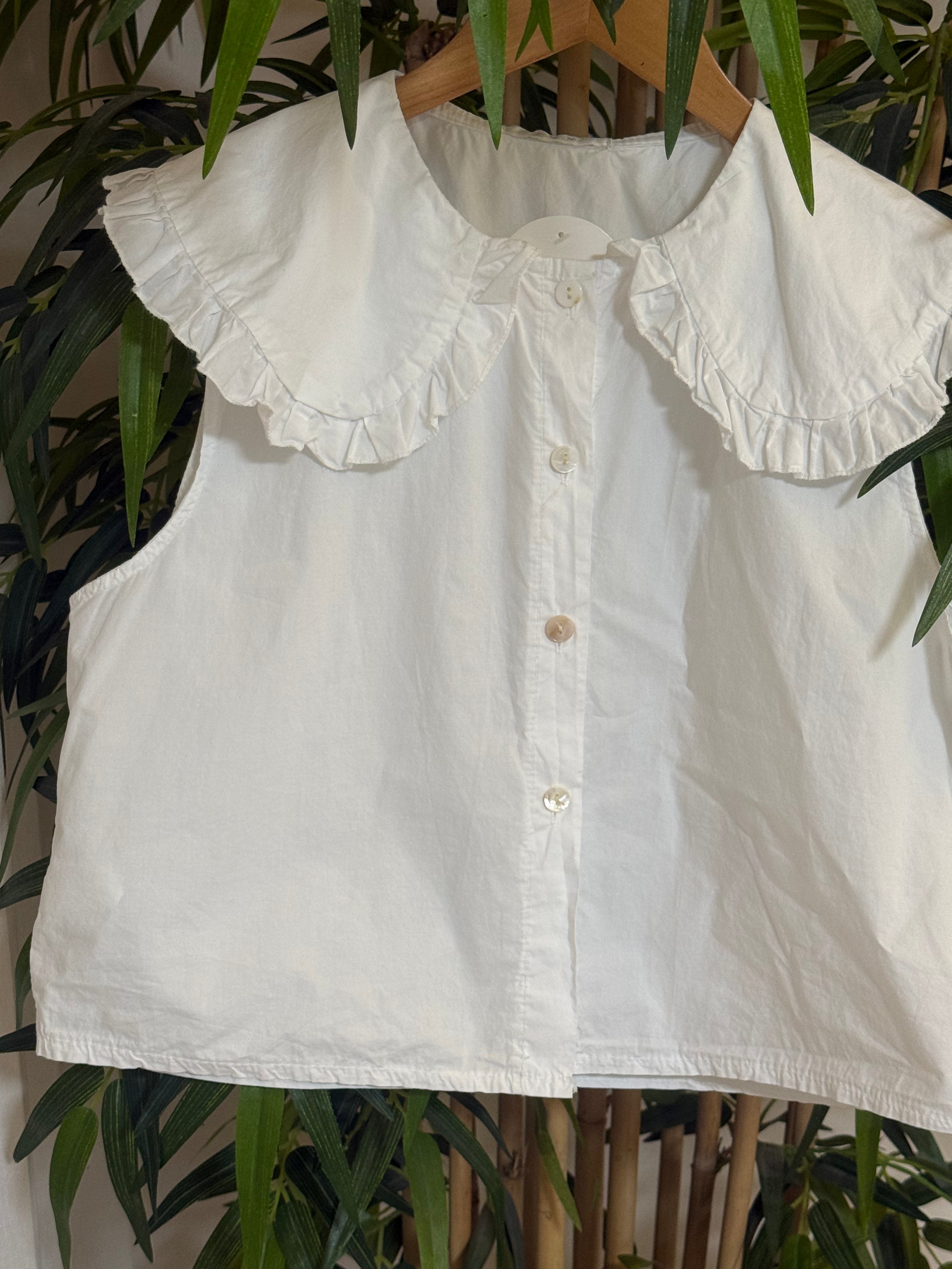 Camisa
